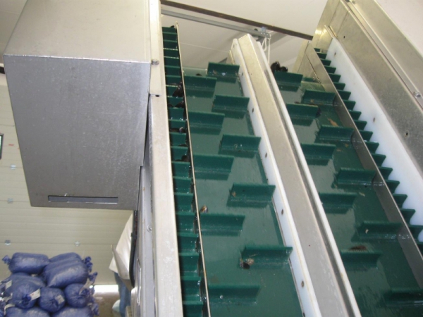 Vue arrière du double tapis peseur à barquettes