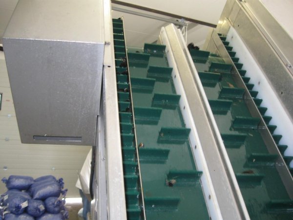 Vue arrière du double tapis peseur à barquettes